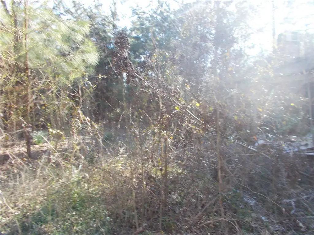 374 Hwy 153 Highway, Ashland, LA 71002 - #1