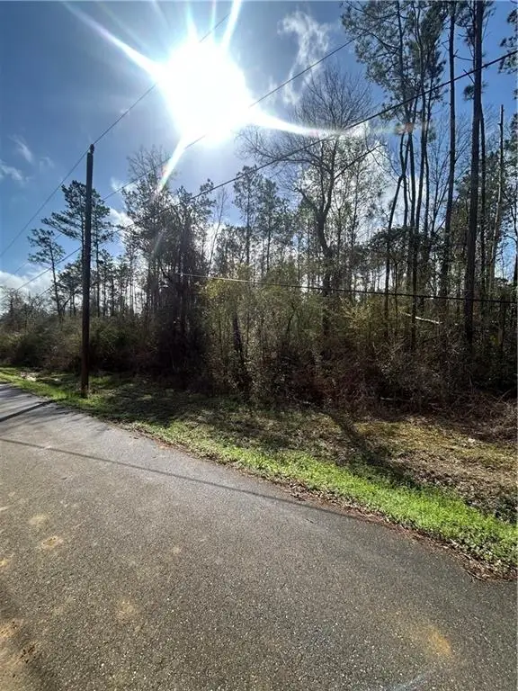 TBD Chapman Road, Loranger, LA 70446 - #1