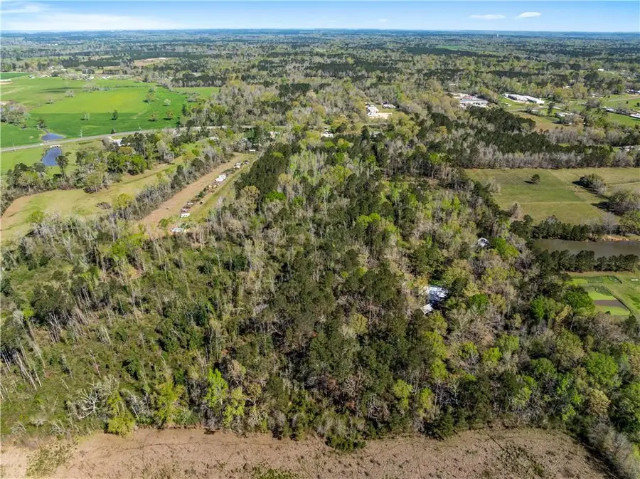 10392 & 10398 Highway 16, Amite, LA 70422 - #2