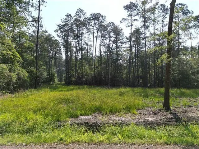 Lot 10 Iron Street, Abita Springs, LA 70420 - #2