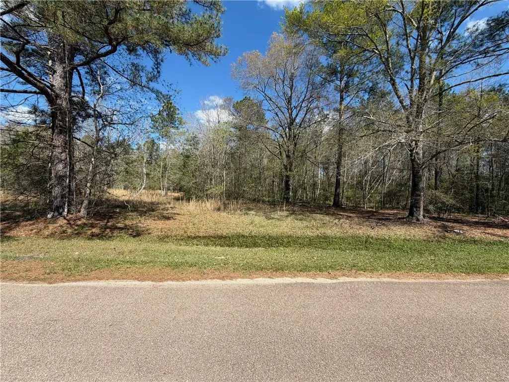 LOT 15C-2 Persimmon Lane, Abita Springs, LA 70420 - #1