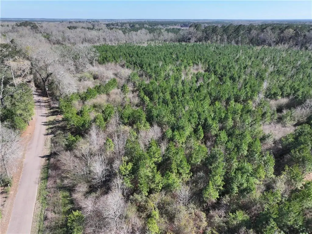 Robert Bateman Rd Road, Franklinton, LA 70438 - #1