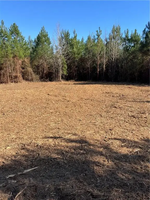 Robert Bateman Rd Road, Franklinton, LA 70438 - #2