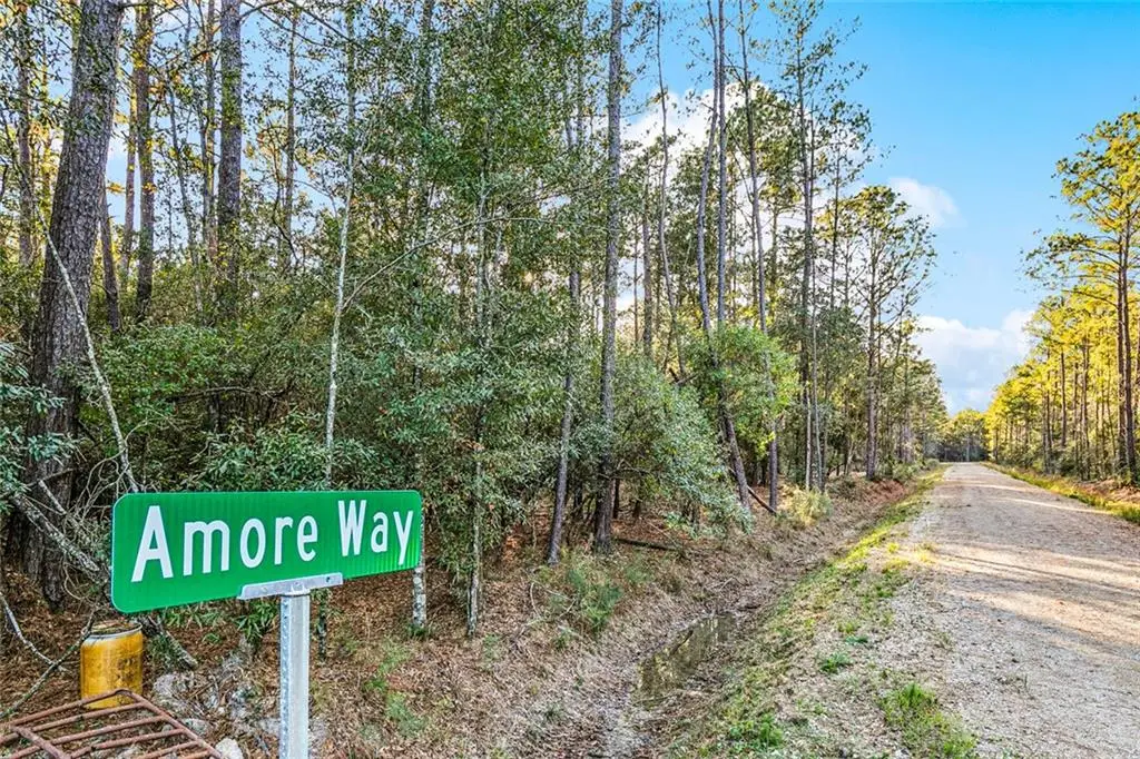 Tracts B-4,B-5 Amore Way, Covington, LA 70435 - #1