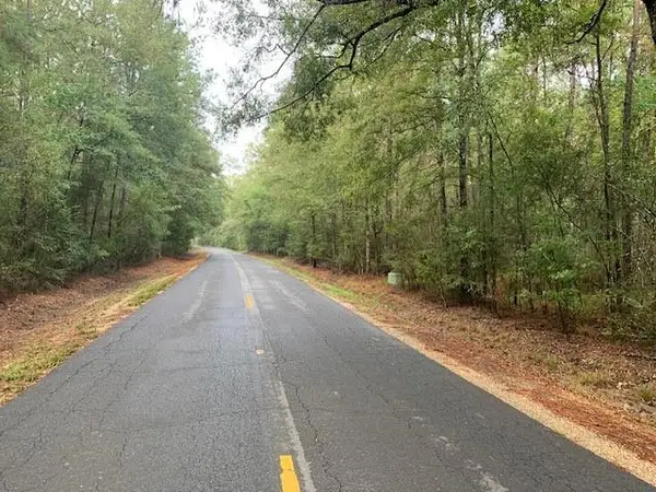 0 Traino Road, Ponchatoula, LA 70454