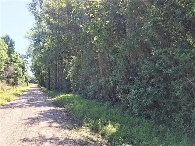 61 Acres Stein Road, Sun, LA 70463 - #2