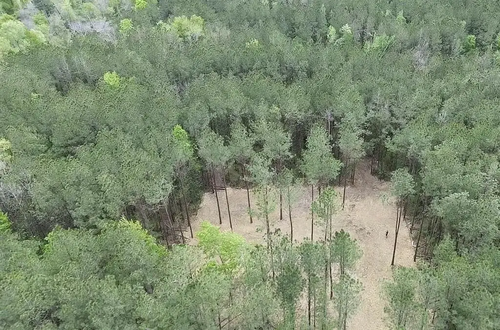 TBD Harts Lane, Kentwood, LA 70444 - #1