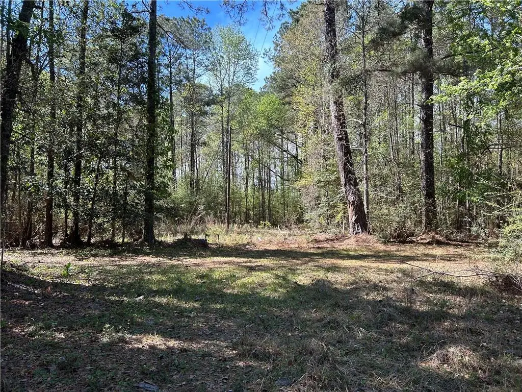Butter Cemetery Road, Forest Hill, LA 71430 - #1