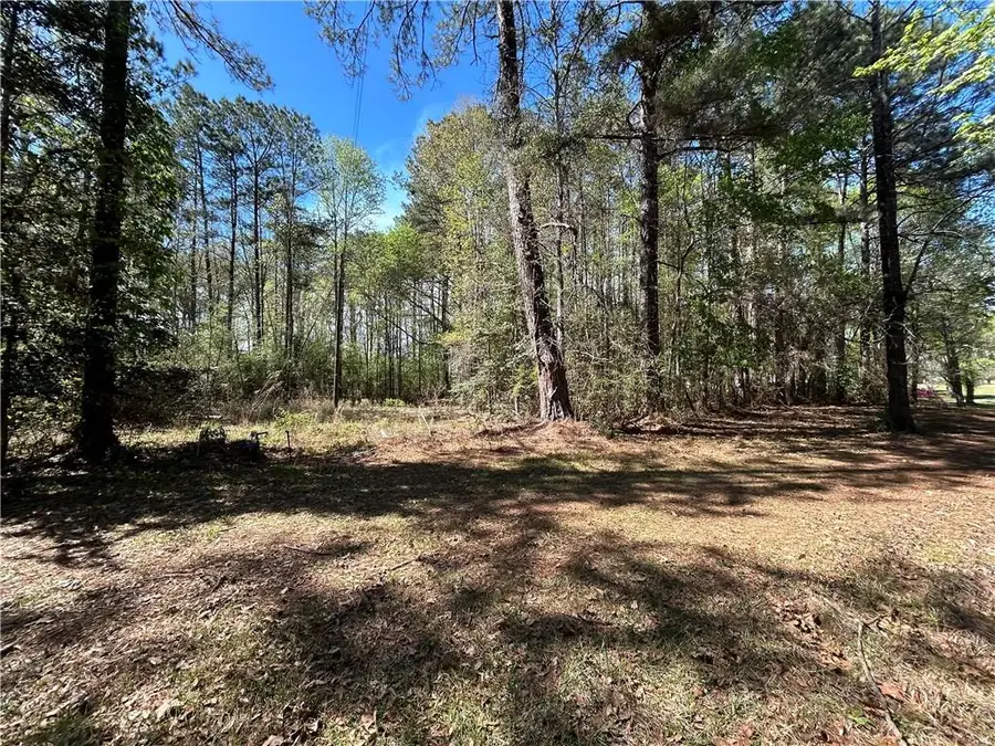 Butter Cemetery Road, Forest Hill, LA 71430 - #3