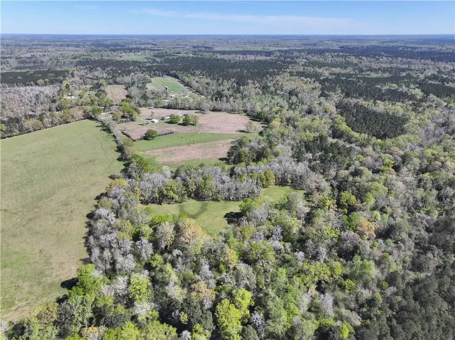 18342 Hwy 440 Highway, Kentwood, LA 70444 - #3