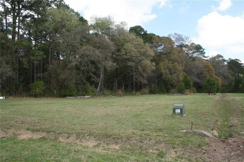 21141 Little River Court, Covington, LA 70435 - #1