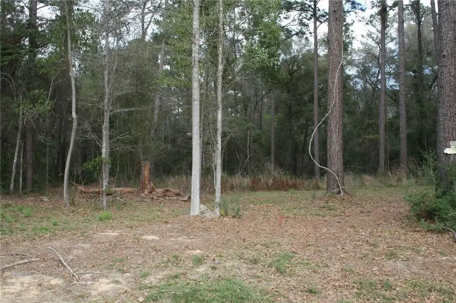 21141 Little River Court, Covington, LA 70435 - #3