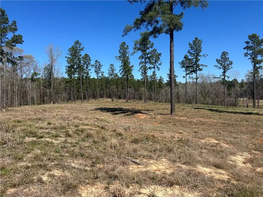 0 Teekell Drive, Boyce, LA 71409 - #2