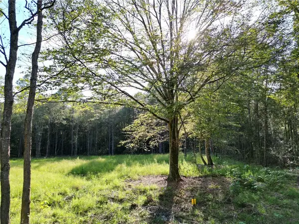 105 Hialeah Drive, Bush, LA 70431