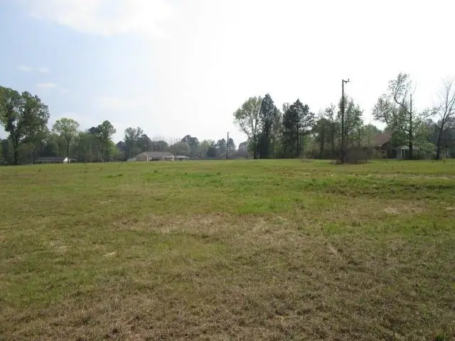 4822 (8.5AC)- Hwy 28 Highway, Pineville, LA 71360 - #1