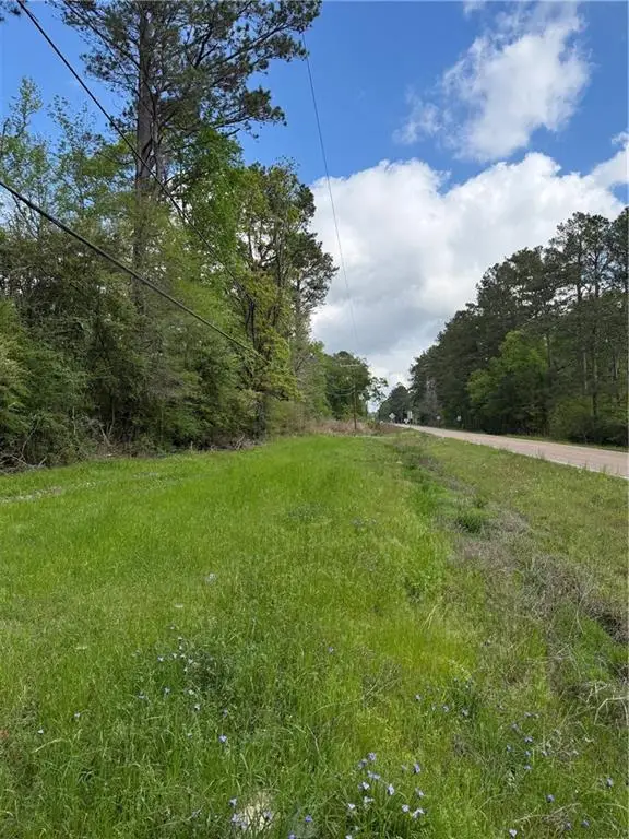 50031 Highway 1065 Highway, Tickfaw, LA 70466 - #1