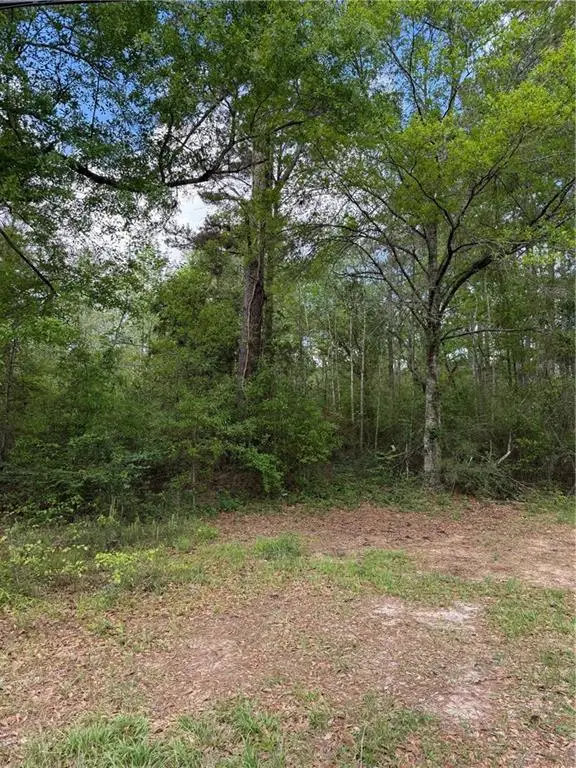 50031 Highway 1065 Highway, Tickfaw, LA 70466 - #2