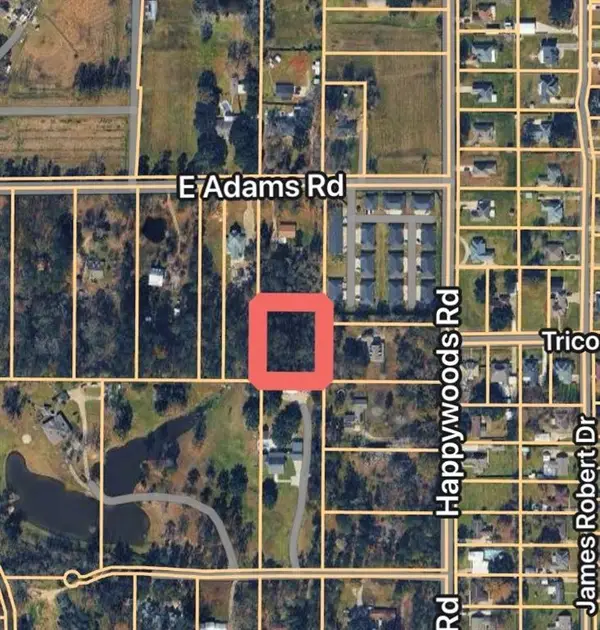 Adams Road, Hammond, LA 70403