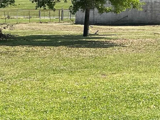 Lot 3 East 15th Street, Reserve, LA 70084 - #1