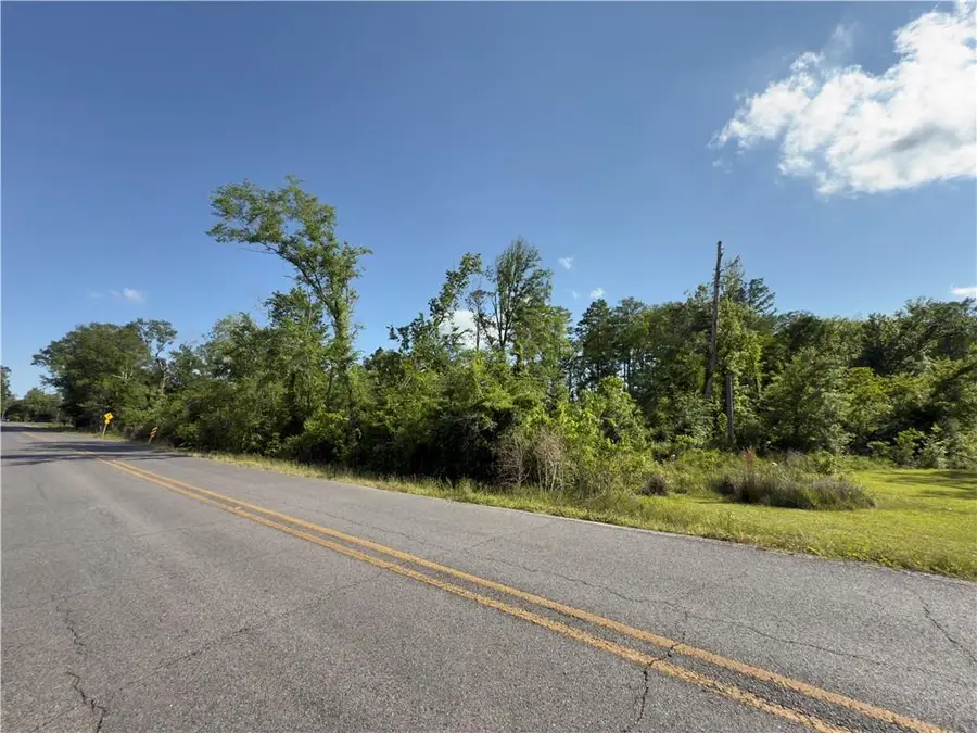 Bear Island Rd. 3.10 Acres Sec 7-9-6 Road, Maurepas, LA 70449 - #3