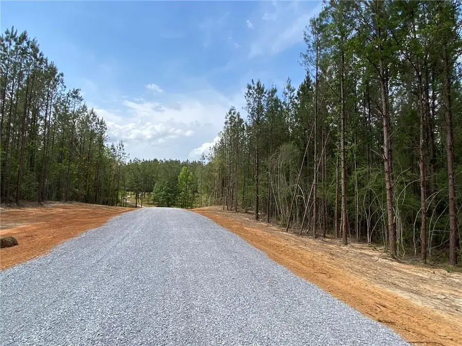 6.3 Acres Erin Lane, Franklinton, LA 70438 - #2