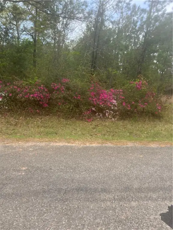 0 Ian Johnson Road, Otis, LA 71466 - #1