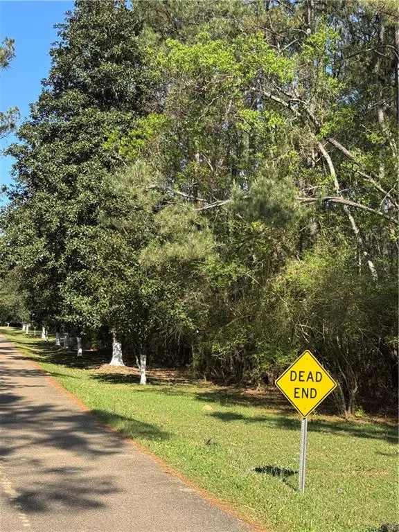 13261 Theresa Nave Road, Folsom, LA 70437 - #2