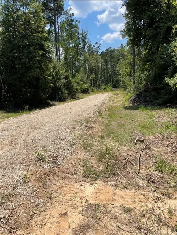 8020 Hwy 171 Highway, Longville, LA 70652 - #2