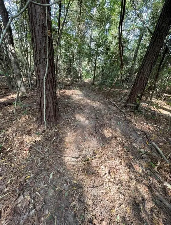 8020 Hwy 171 Highway, Longville, LA 70652 - #3