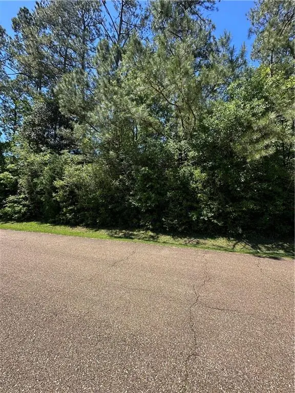 Esterbrook Acres Drive, Ponchatoula, LA 70454 - #3