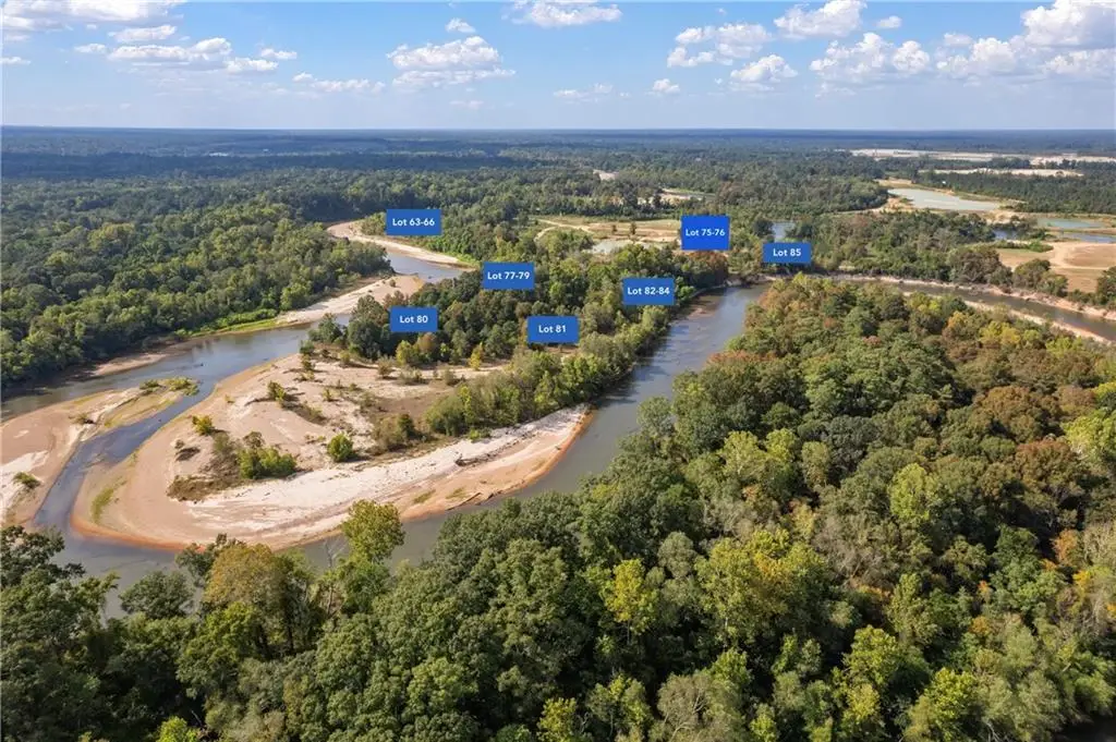 Lot 77 The Banks Drive - Hwy 16 Highway, Franklinton, LA 70438 - #1