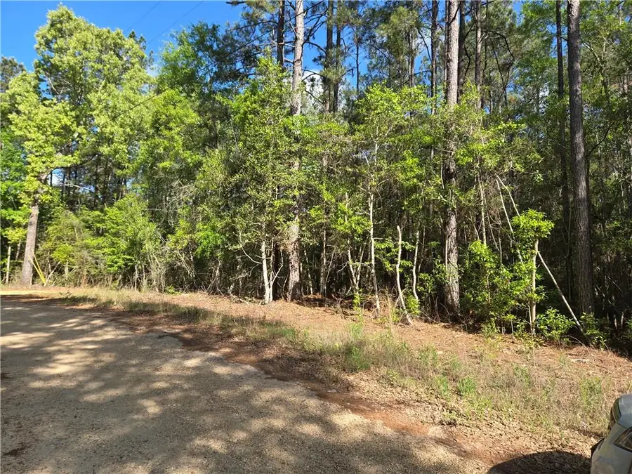 0 Arlena Lane, Poplarville, MS 39470 - #3