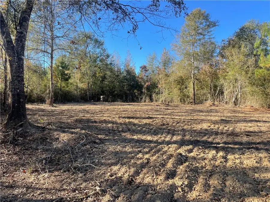 78112 Brab Alford Road, Kentwood, LA 70444 - #3