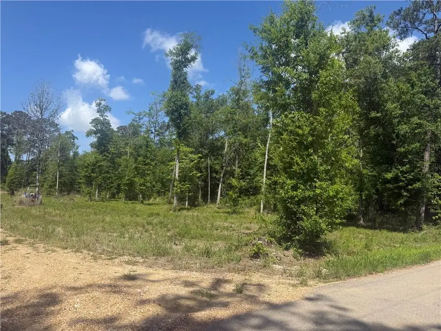 39667 School Section Road, Ponchatoula, LA 70454 - #2