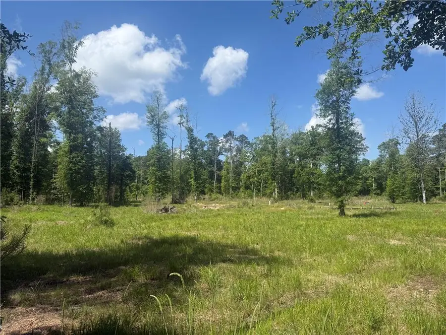 39667 School Section Road, Ponchatoula, LA 70454 - #3