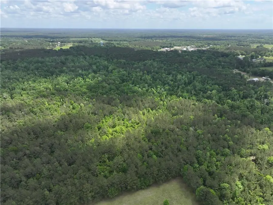 Ellis Blvd Boulevard, Loranger, LA 70446 - #2