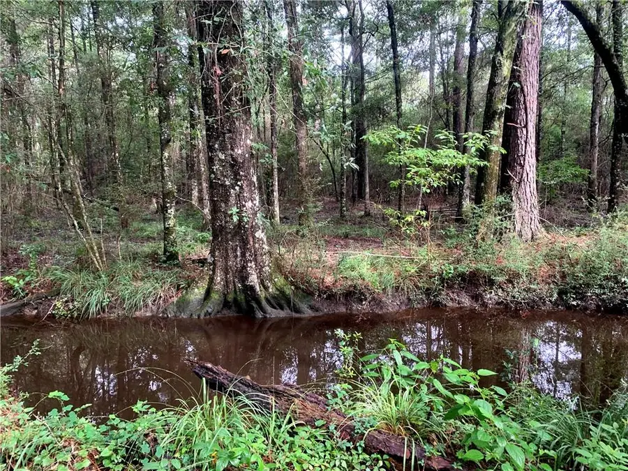 Lot 23 Five Acre Farms, Mandeville, LA 70471 - #2