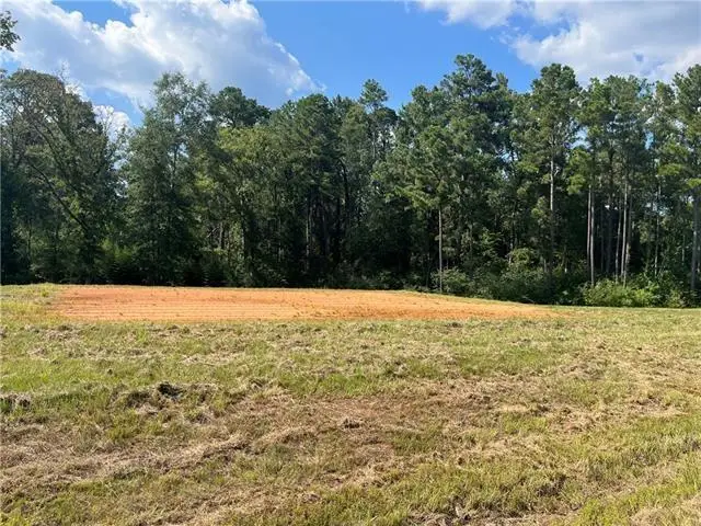 Lot 22 Archie Drive, Dry Prong, LA 71423 - #1