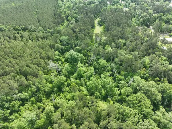 Shadow Lake Drive, Holden, LA 70744