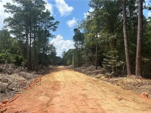 Pellegrin Drive, Covington, LA 70435 - #3