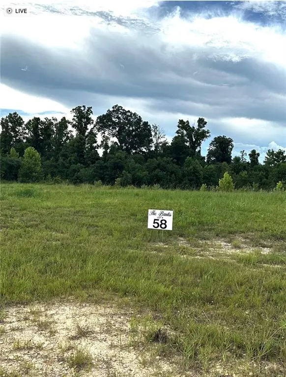 Lot 58 The Banks Drive - Hwy 16 Highway, Franklinton, LA 70438