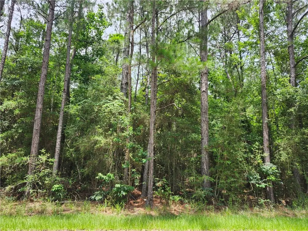 67318 Salt Lick Lane, Lacombe, LA 70445 - #1