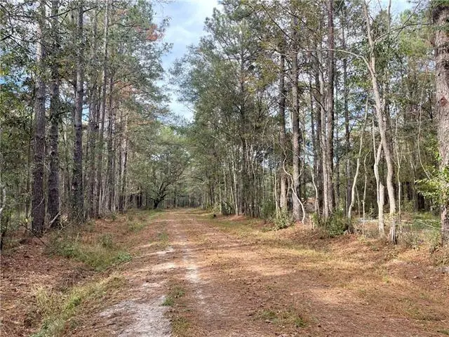 37285 Dummyline Road, Pearl River, LA 70452 - #1