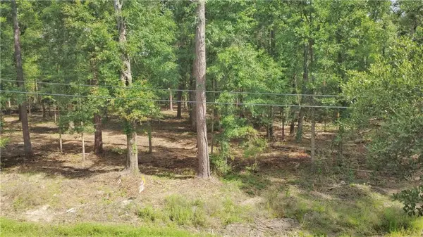 Strawberry Lot 1a-2 Lane, Hammond, LA 70403