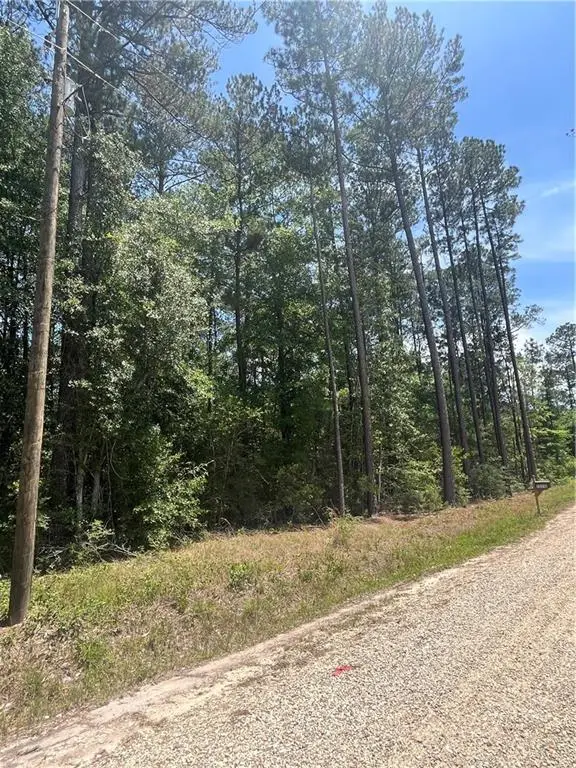 Niblick Street, Abita Springs, LA 70420 - #1