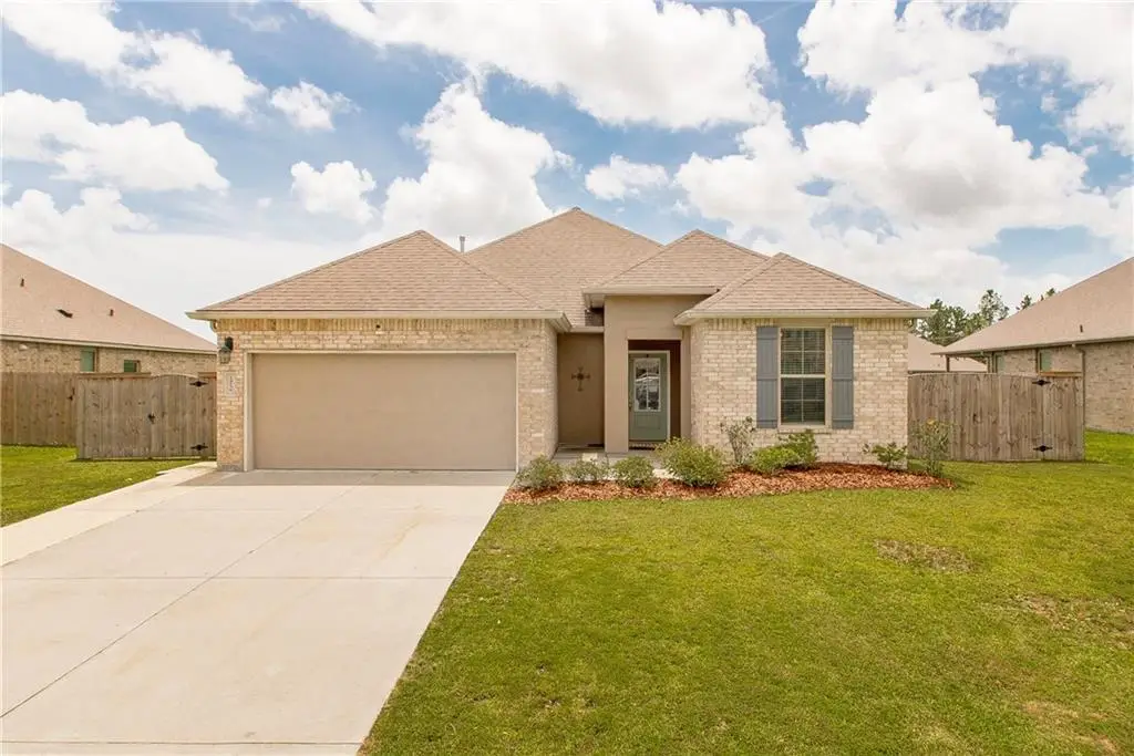 24238 Conservation Way Avenue, Ponchatoula, LA 70454 - #1