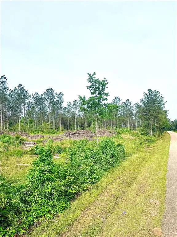 Lot3 TBD Lee Road, Franklinton, LA 70438
