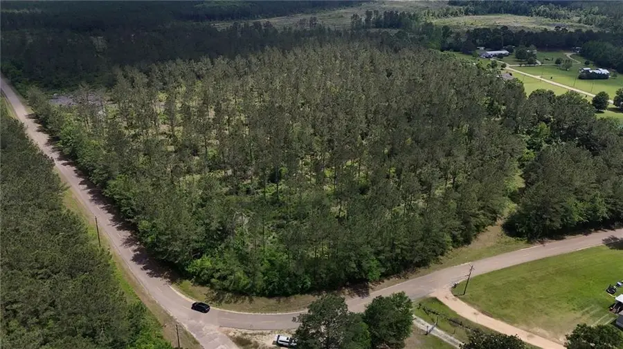 Lot6 TBD Lee Road, Franklinton, LA 70438 - #2