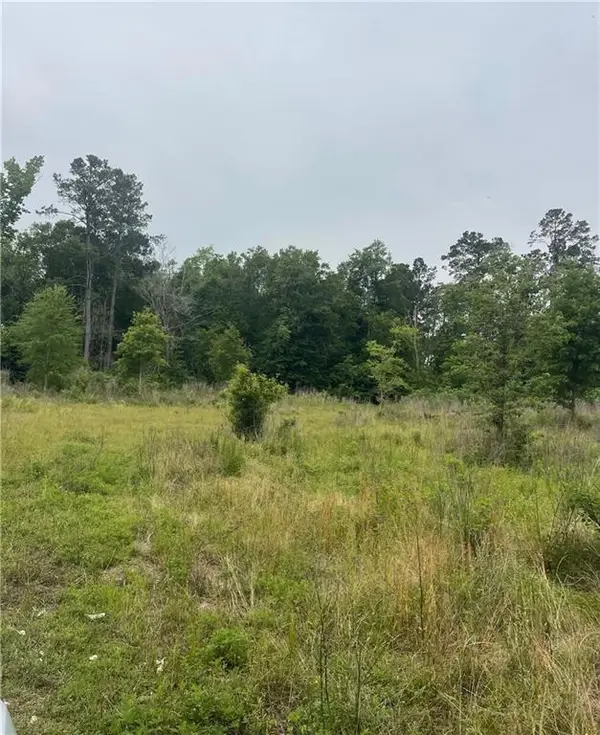 121 Ten Mile Road, Pitkin, LA 70656