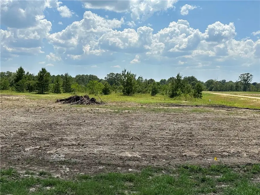 Lot 35-36 The Banks Drive, Hwy 16 Highway, Franklinton, LA 70438 - #3